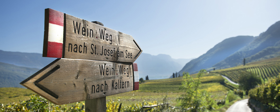 Der Kalterer Wein.weg - Helmuth Rier.jpg